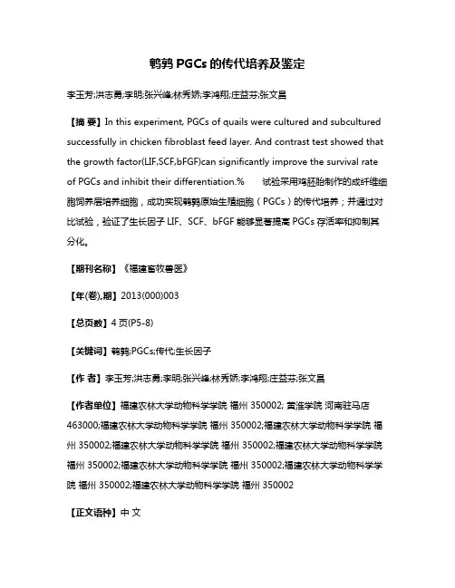 鹌鹑PGCs的传代培养及鉴定