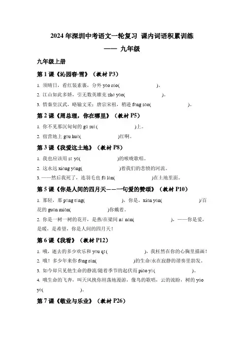 2024年深圳中考语文一轮复习 课内词语积累训练—— 九年级(原卷版+答案版)