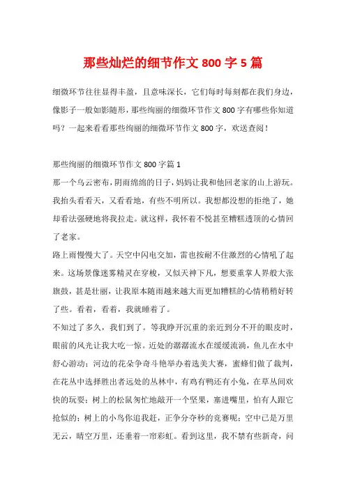 那些灿烂的细节作文800字5篇