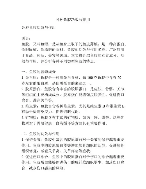 各种鱼胶功效与作用