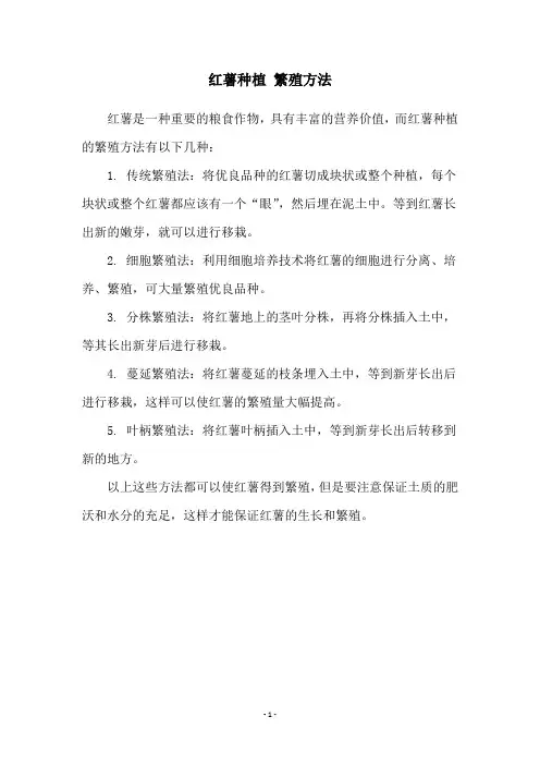 红薯种植 繁殖方法