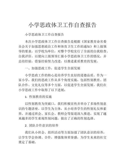 小学思政体卫工作自查报告