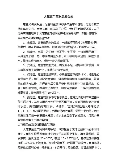 大花惠兰花谢后怎么养