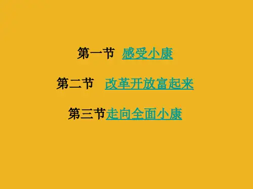 思想品德：第三单元《走进小康时代》复习课件-(湘师版八年级下)(教学课件201911)