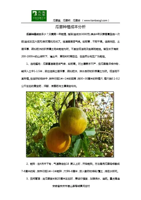 瓜蒌种植成本分析