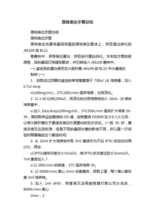 原核表达步骤总结