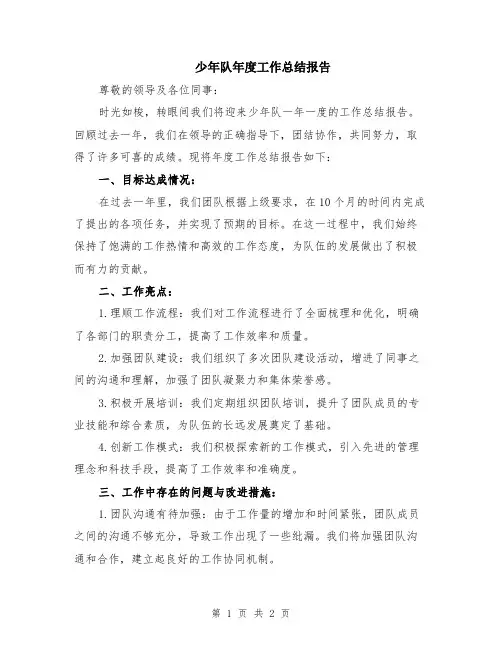 少年队年度工作总结报告