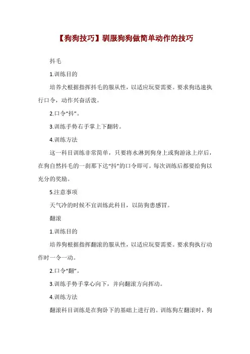 【狗狗技巧】驯服狗狗做简单动作的技巧