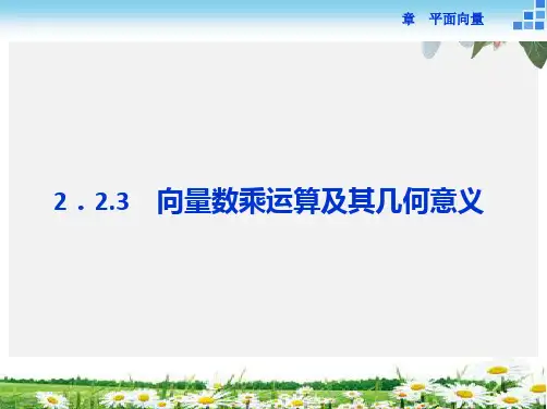 人教版必修4 数学2.2.3 向量数乘运算及其几何意义 课件(24张)精选ppt课件