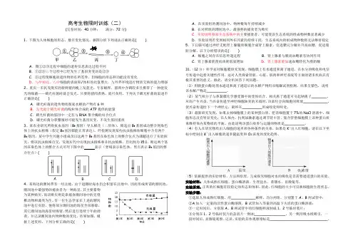 限时训练2