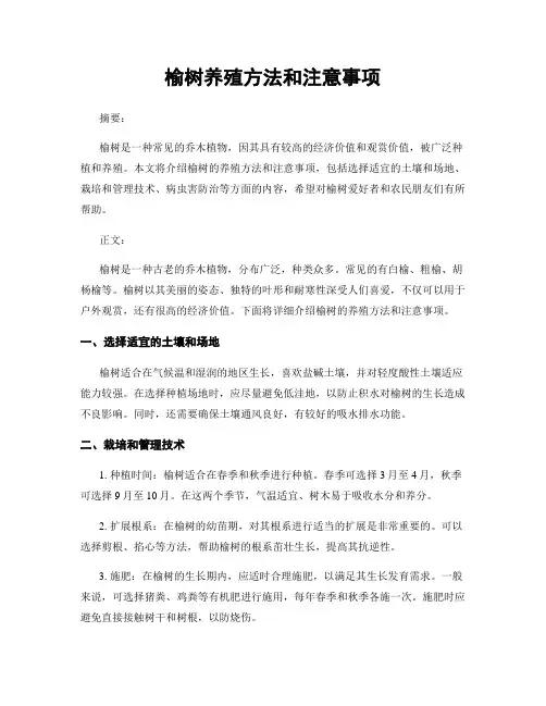 榆树养殖方法和注意事项