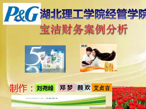 宝洁公司财务报表分析(刘尧峰,邓梦,颜欢,艾真言)