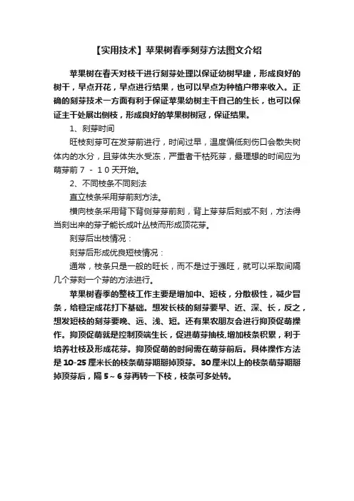 【实用技术】苹果树春季刻芽方法图文介绍