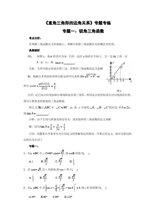 中考数学复习指导：《直角三角形的边角关系》专题专练及答案