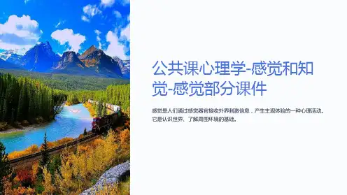 公共课心理学-感觉和知觉-感觉部分课件
