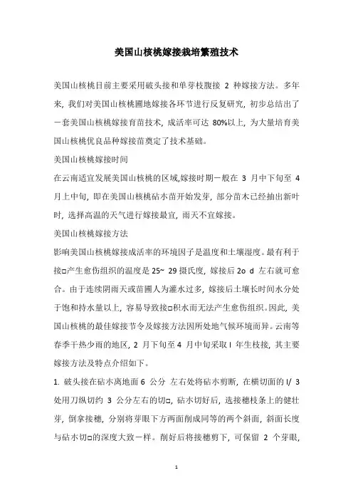 美国山核桃嫁接栽培繁殖技术