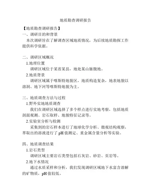 地质勘查调研报告