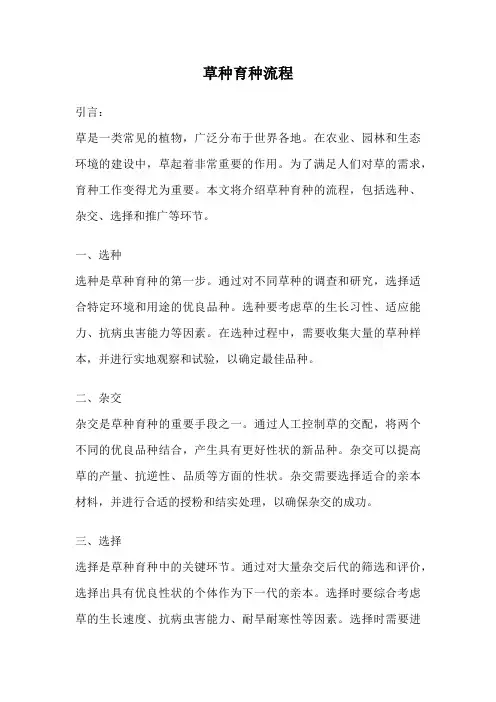 草种育种流程