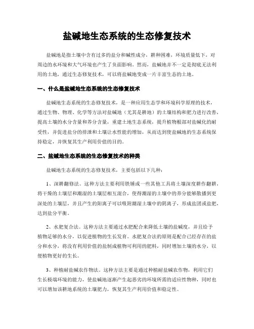 盐碱地生态系统的生态修复技术