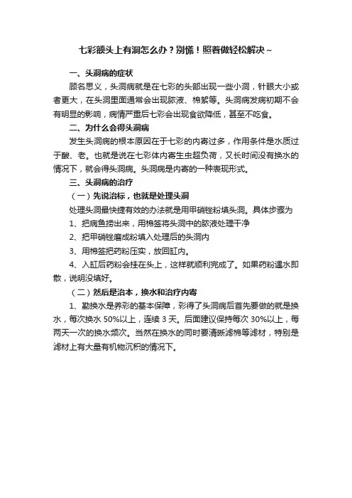 七彩额头上有洞怎么办？别慌！照着做轻松解决～