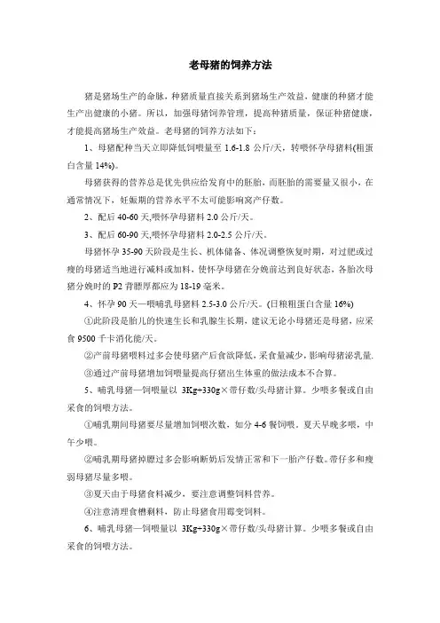 老母猪的饲养方法