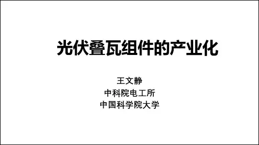 3-中国光伏组件技术发展-王文静_20190315213546