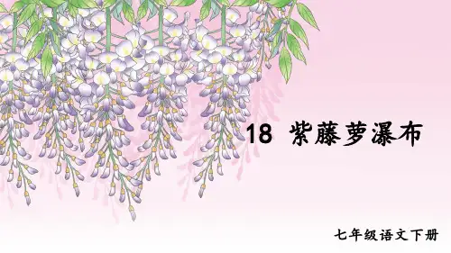 部编版语文七年级下册第18课《紫藤萝瀑布》课件(共38页ppt)
