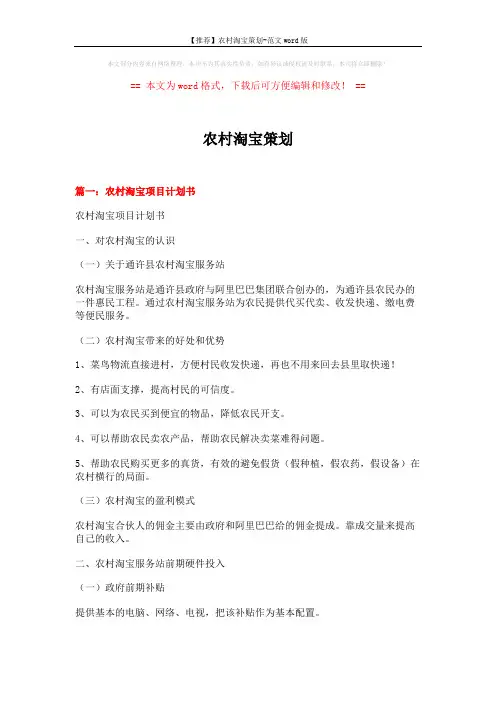 【推荐】农村淘宝策划-范文word版 (6页)