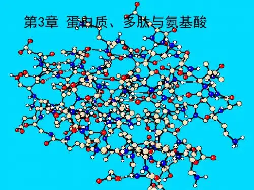 第三章 蛋白质、多肽和功能性油脂