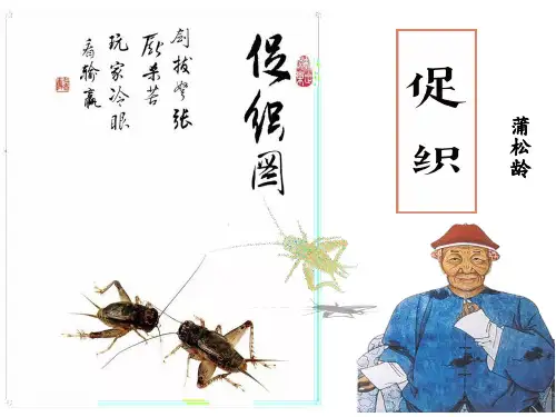 《促织》PPT课件