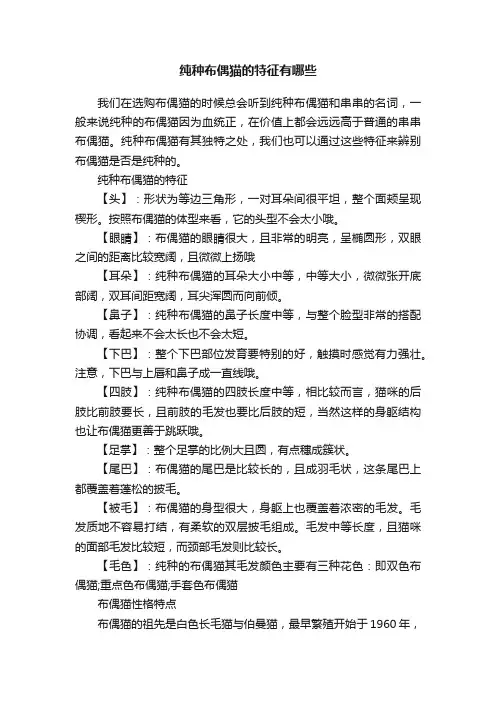 纯种布偶猫的特征有哪些