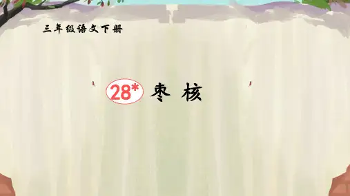 28.《枣核》 课件(共30张PPT).ppt