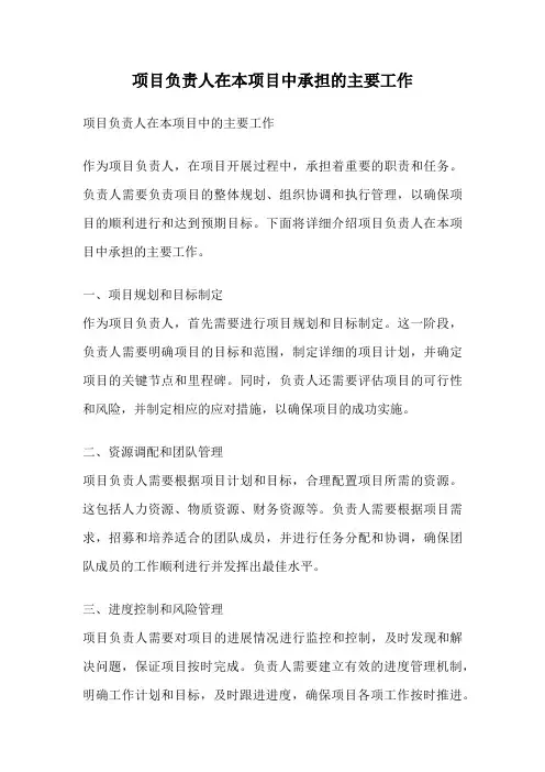 项目负责人在本项目中承担的主要工作
