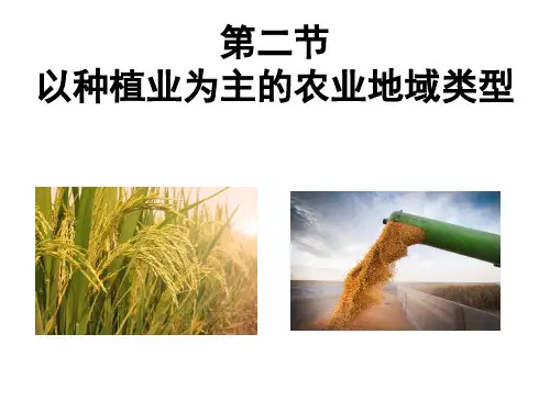 人教版 必修二 3.1 以种植业为主的农业地域类型(共36张PPT)