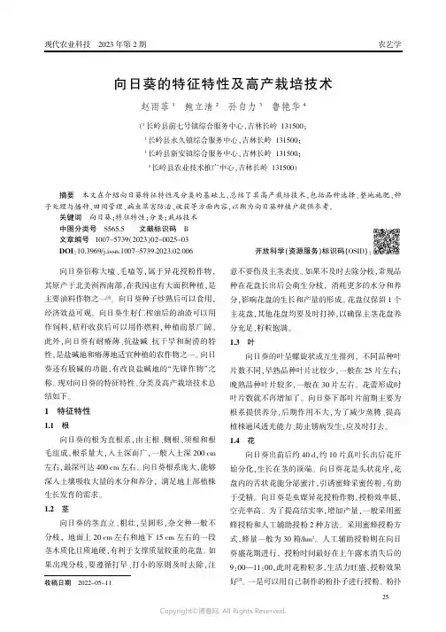 向日葵的特征特性及高产栽培技术