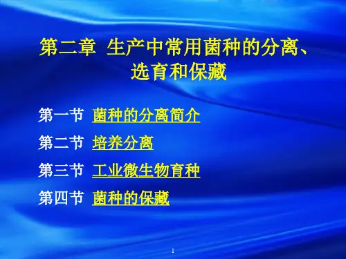 发酵工程第2章_菌种选育