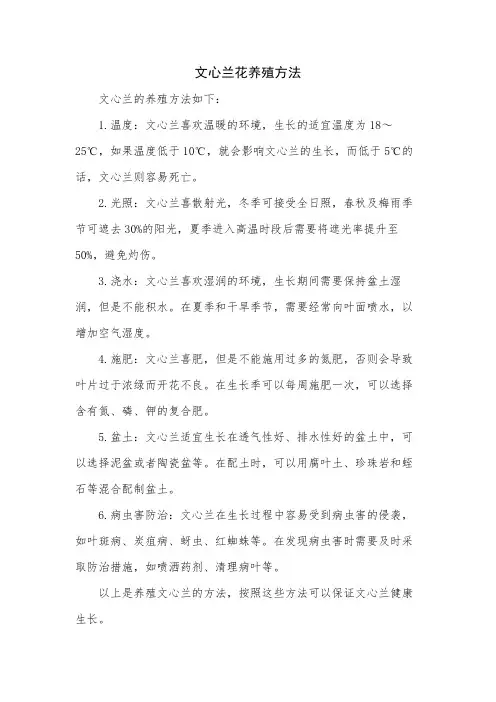 文心兰花养殖方法