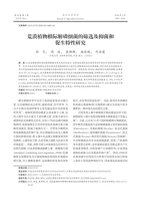 荒漠植物根际解磷细菌的筛选及抑菌和促生特性研究