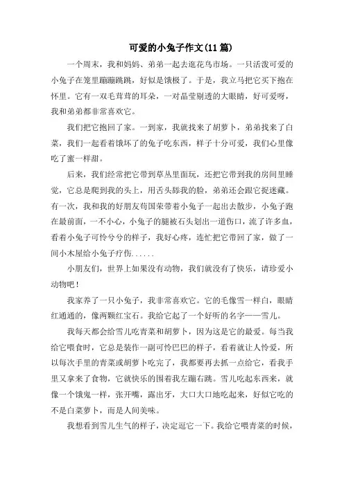 可爱的小兔子作文(11篇)范文
