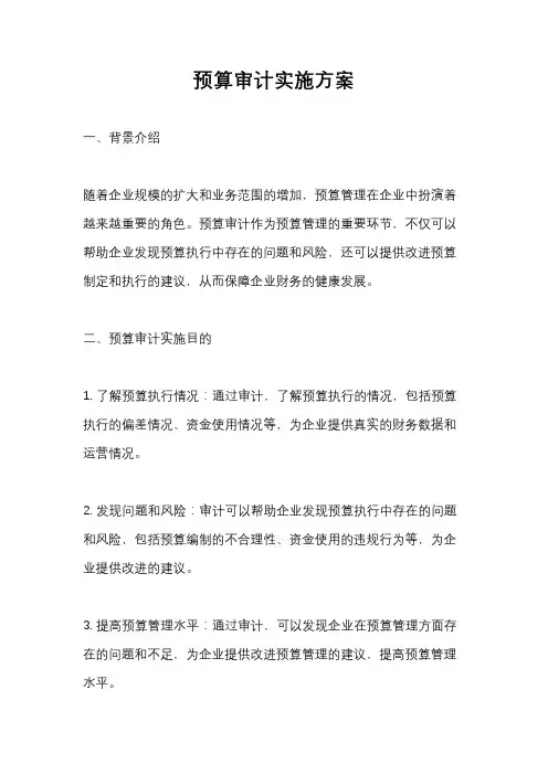 预算审计实施方案