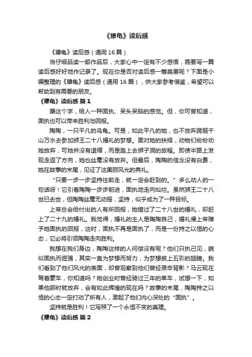 《犟龟》读后感