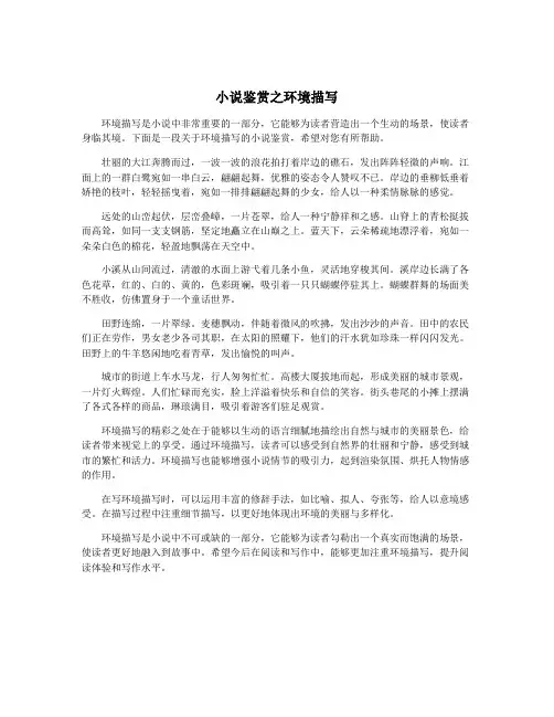 小说鉴赏之环境描写