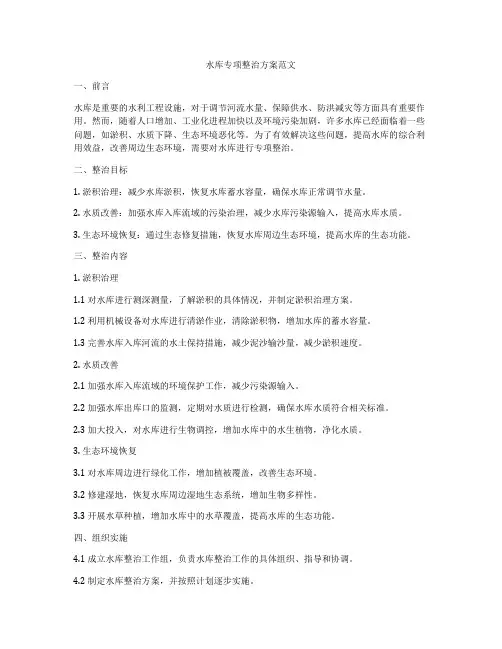 水库专项整治方案范文