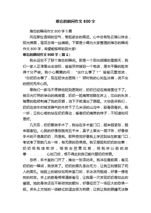 难忘的瞬间作文800字