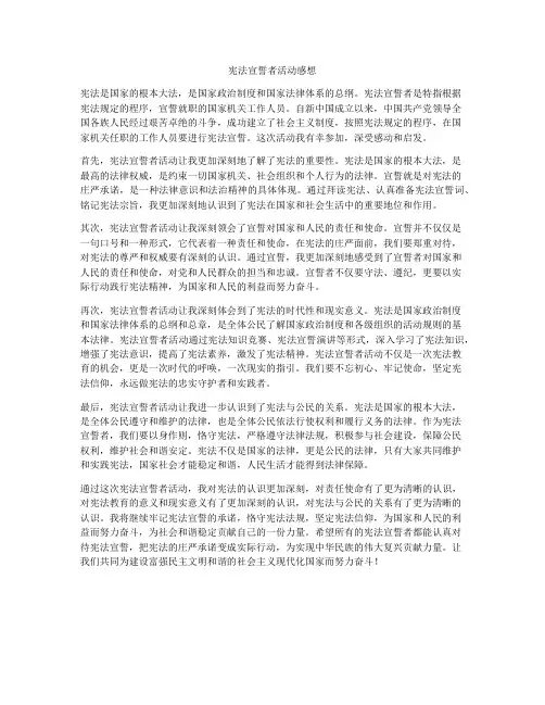 宪法宣誓者活动感想