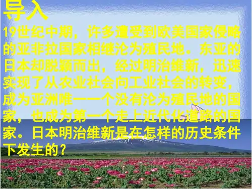 2023岳麓版选修1第14课《日本近代化的起航—明治维新》ppt1