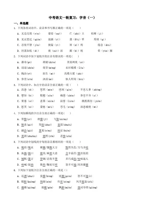 中考语文一轮复习：字音(一)