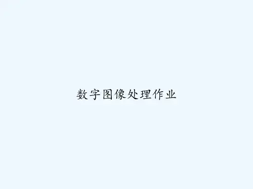 数字图像处理作业 PPT