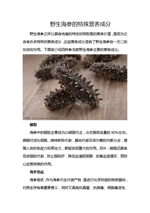 野生海参的特殊营养成分