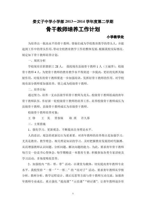 骨干教师培养工作计划